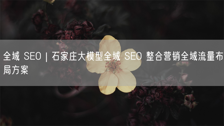 石家庄大模型：全域SEO整合营销与流量布局方案