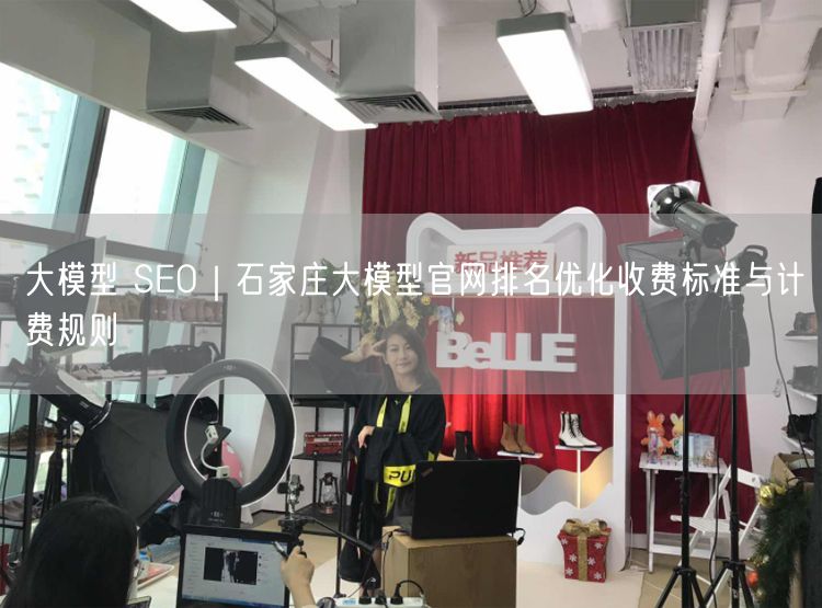 石家庄大模型官网排名优化：收费标准与计费规则解析