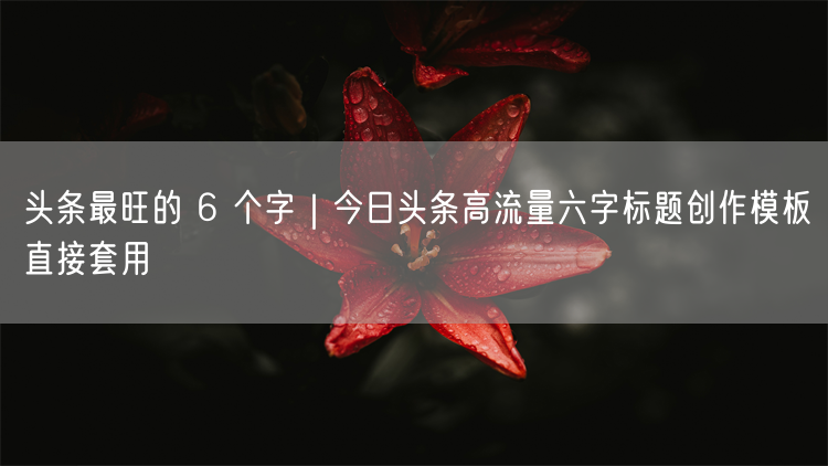 揭秘！今日头条高流量六字标题创作模板