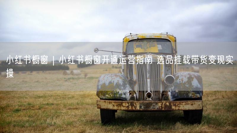 小红书橱窗开通运营全攻略：选品带货变现技巧