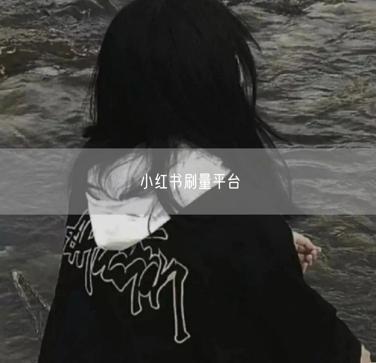 小红书刷量平台