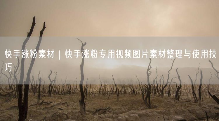 快手涨粉素材｜快手涨粉专用视频图片素材整理与使用技巧