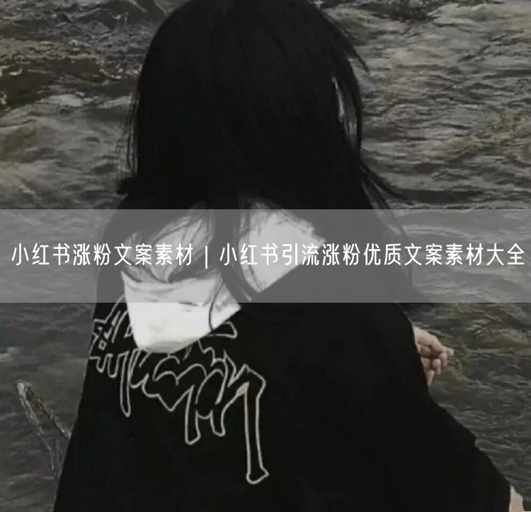 小红书涨粉秘籍：引流文案+优质素材+运营技巧大全