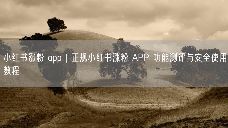 正规小红书涨粉APP测评与安全涨粉教程大公开