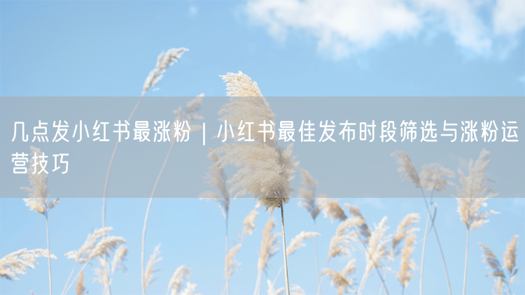 几点发小红书最涨粉|小红书最佳发布时段筛选与涨粉运营技巧
