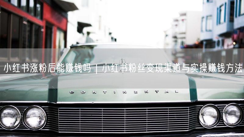 小红书涨粉后如何赚钱？变现渠道与实操赚钱法揭秘