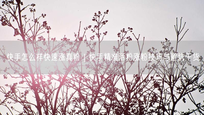 快手怎么样快速涨真粉|快手精准活粉涨粉技巧与避坑干货