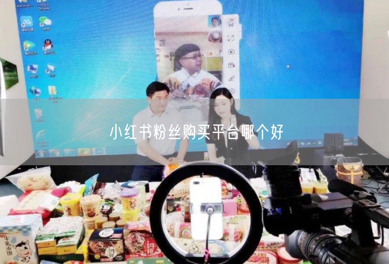 小红书粉丝购买平台哪个好