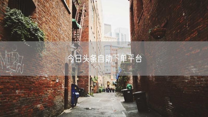 今日头条自助下单平台