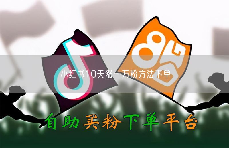 小红书10天涨一万粉方法下单