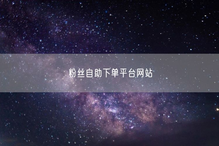 粉丝自助下单平台网站