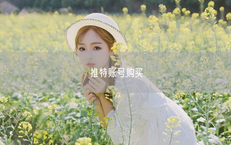 推特账号购买
