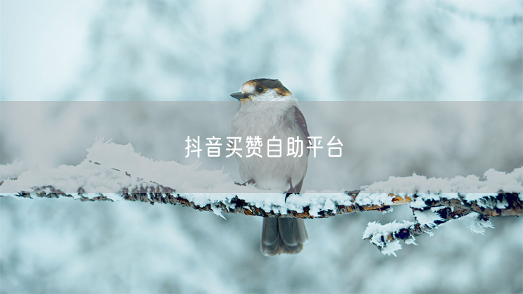 抖音买赞自助平台