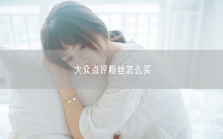 大众点评粉丝怎么买