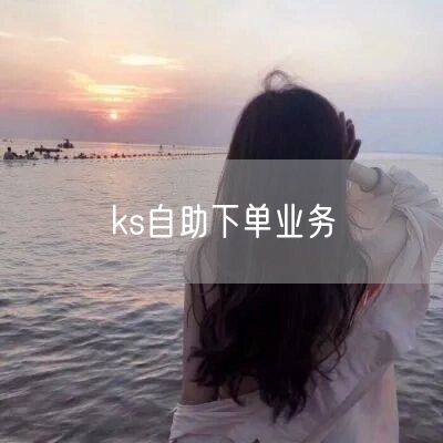 ks自助下单业务