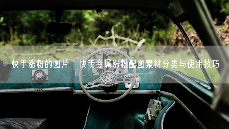 快手涨粉的图片｜快手专属涨粉配图素材分类与使用技巧
