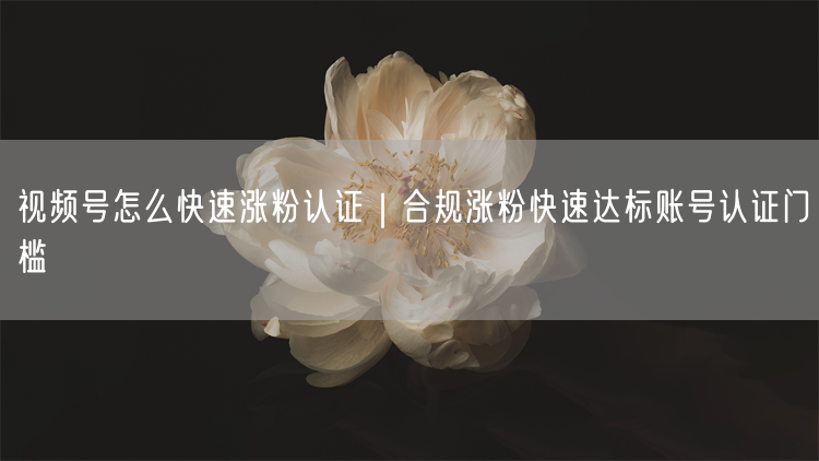 视频号怎么快速涨粉认证｜合规涨粉快速达标账号认证门槛