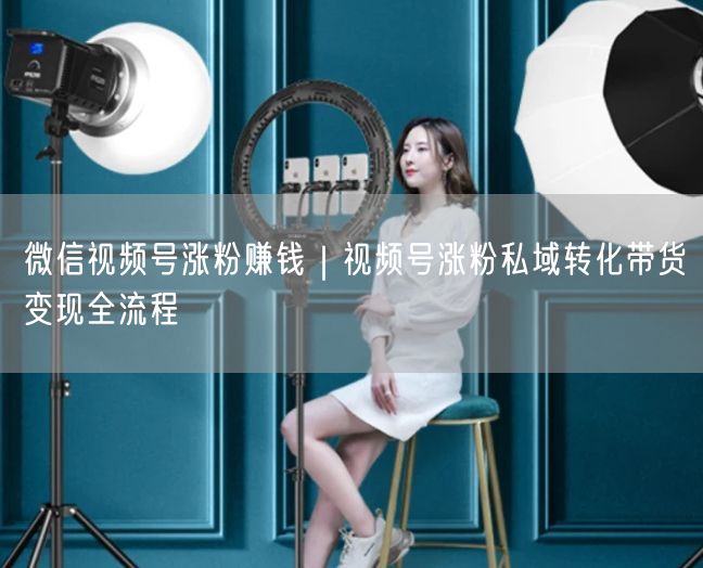 微信视频号涨粉赚钱｜视频号涨粉私域转化带货变现全流程