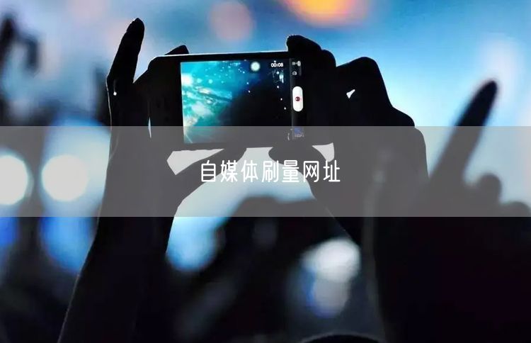自媒体刷量网址