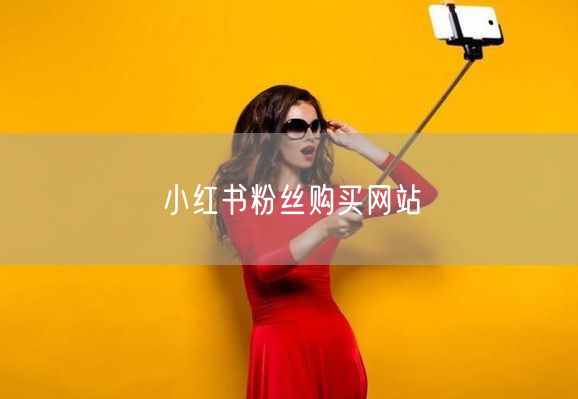 小红书粉丝购买网站
