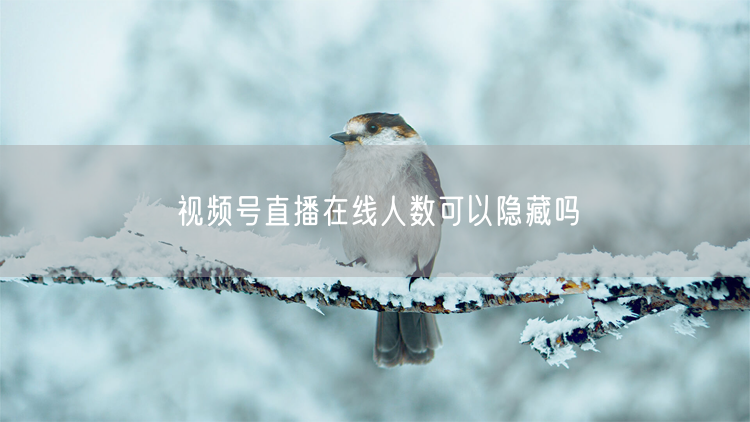 视频号直播在线人数可以隐藏吗