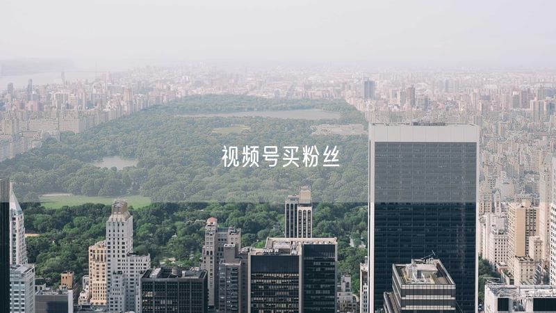 视频号买粉丝