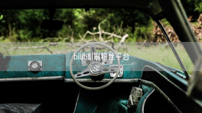 bilibili刷粉丝平台