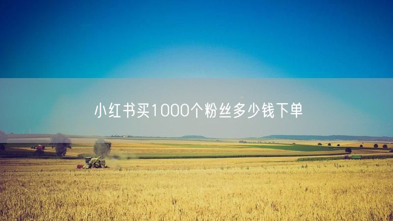 小红书买1000个粉丝多少钱下单