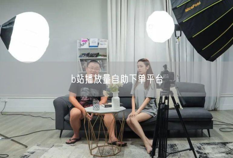 b站播放量自助下单平台