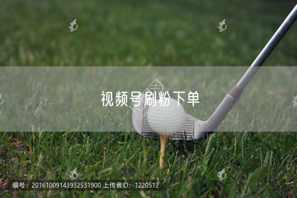 视频号刷粉下单
