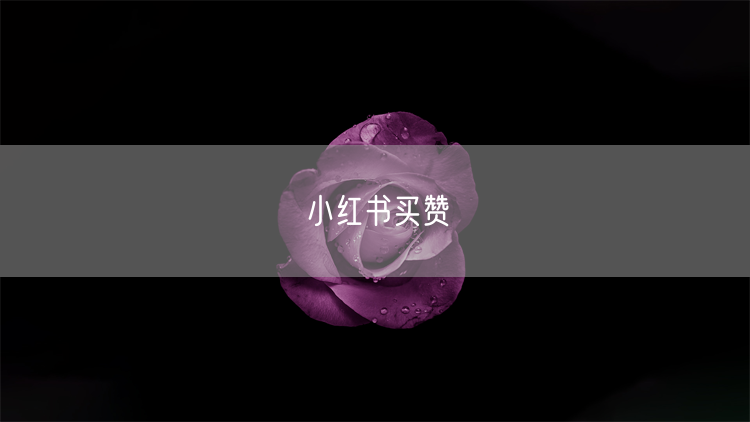 小红书买赞