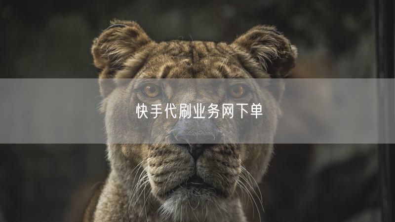 快手代刷业务网下单