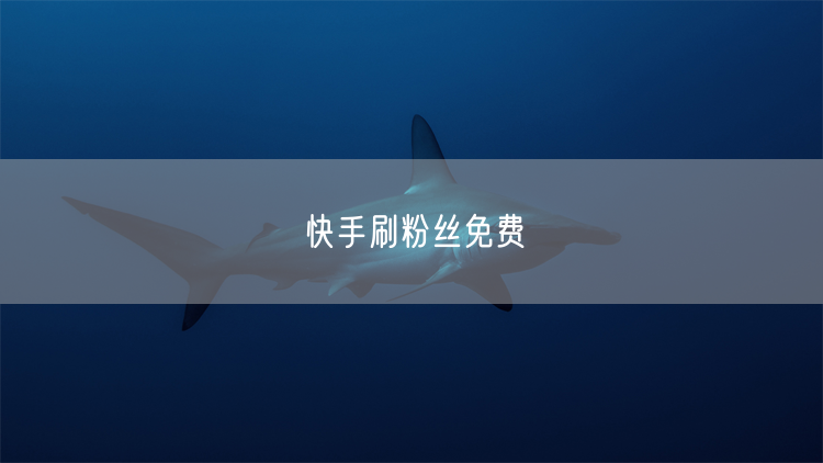 快手刷粉丝免费