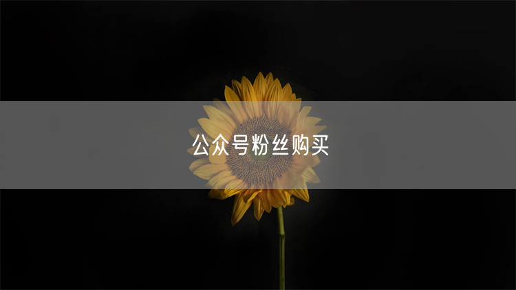 公众号粉丝购买