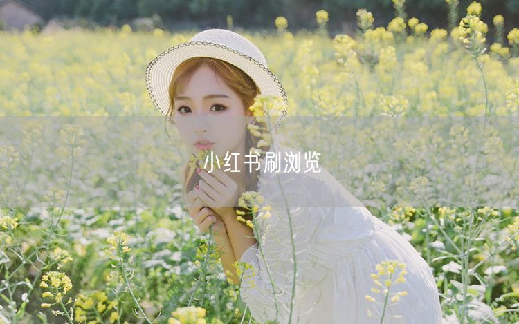 小红书刷浏览