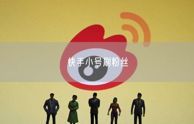 快手小号刷粉丝