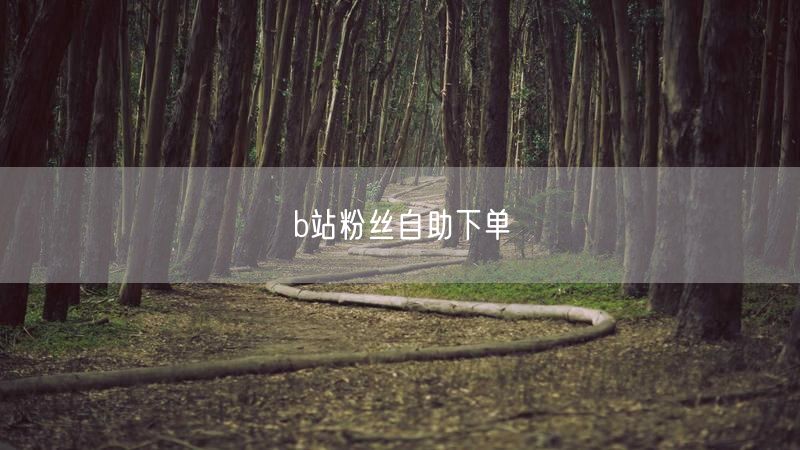 b站粉丝自助下单