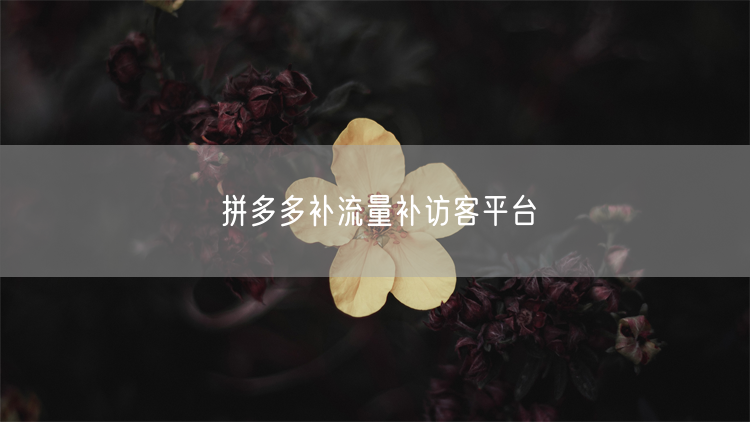 拼多多补流量补访客平台