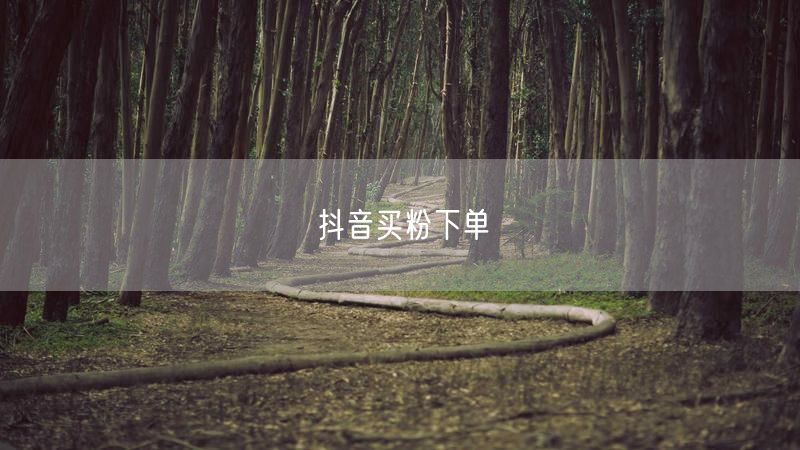 抖音买粉全攻略：实操下单、避坑技巧与风险解析
