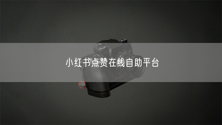 小红书点赞在线自助平台