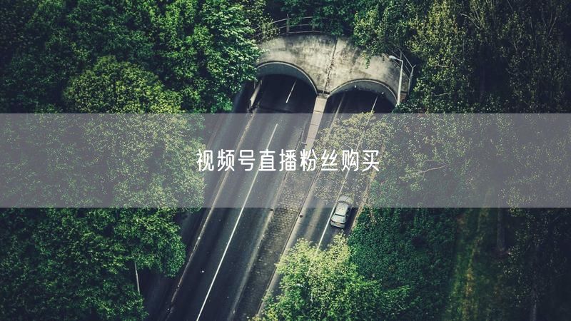 视频号直播技巧：提升粉丝购买力，附实操转化案例