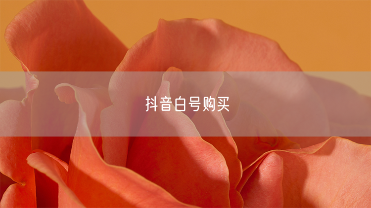 抖音白号购买