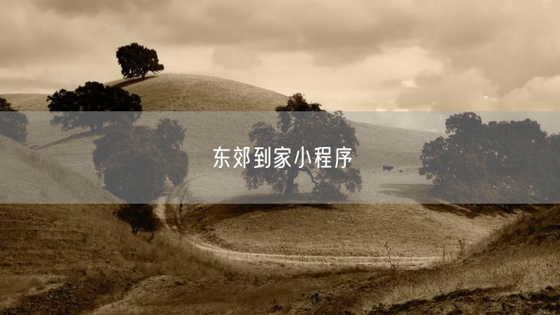 东郊到家小程序实操：上门按摩服务避坑与真实案例