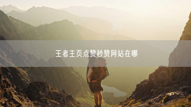 王者主页点赞秒赞网站在哪